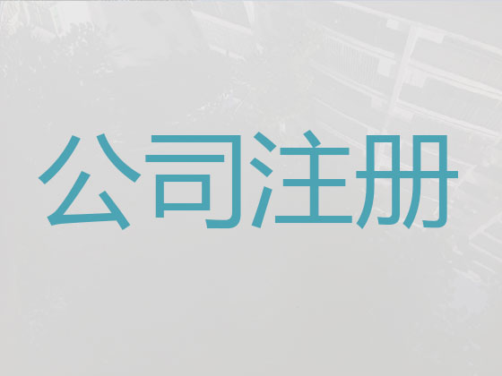 嘉善公司注册代办